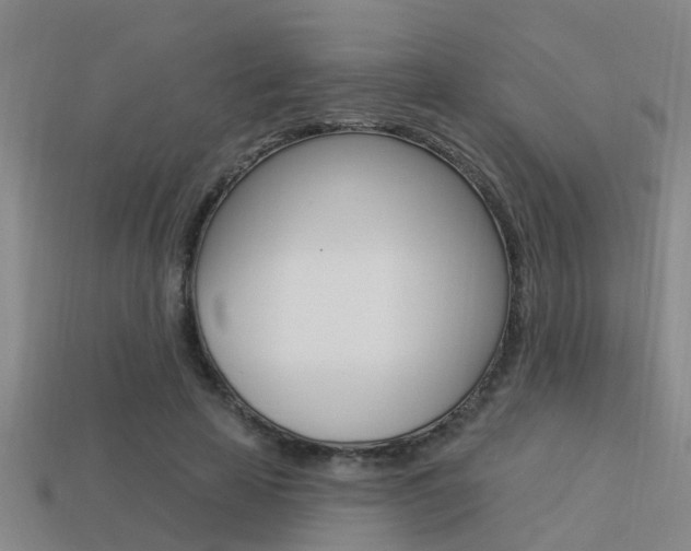 X0000113340641200909151006