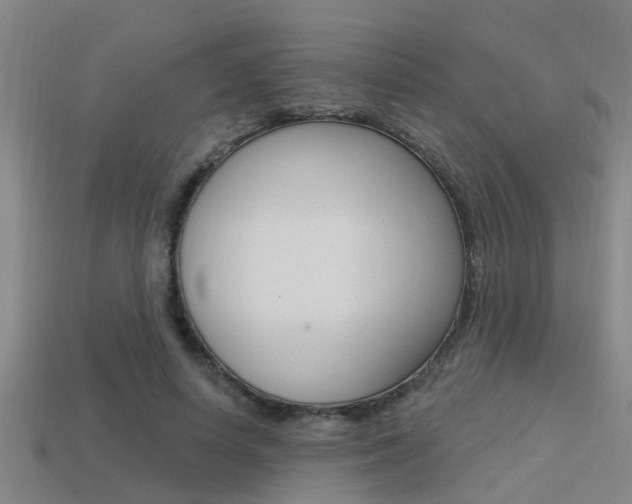 X0000113340642200909151006