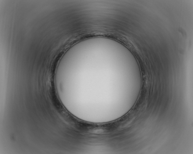 X0000113340643200909151006