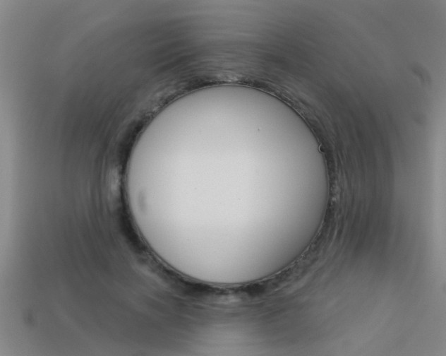 X0000113340646200909151006