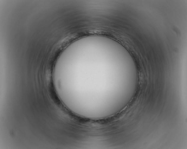 X0000113340648200909151006