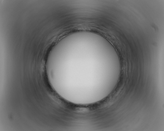 X0000113340649200909151006