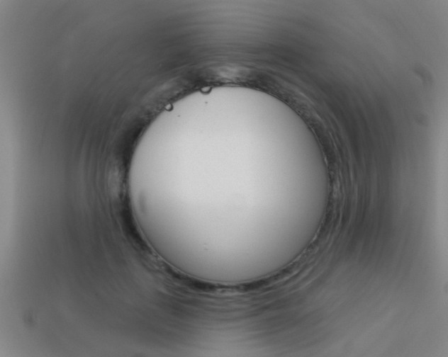 X0000113340651200909151006