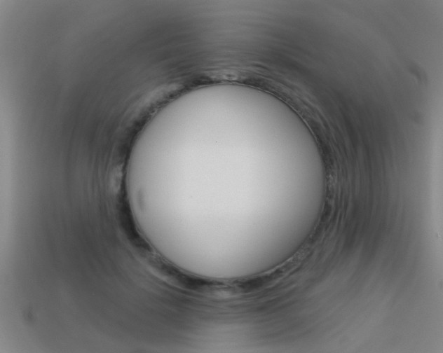 X0000113340652200909151006