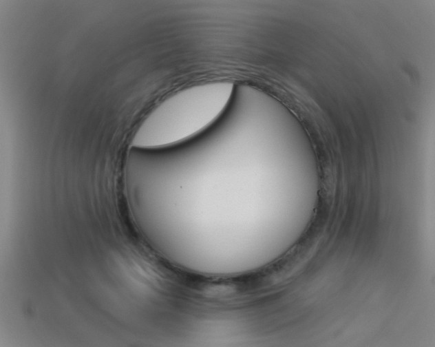 X0000113340653200909151006