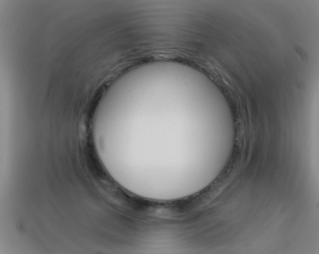 X0000113340655200909151006