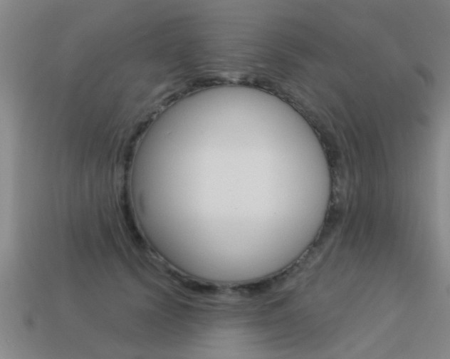 X0000113340656200909151006