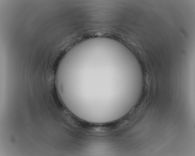 X0000113340657200909151007