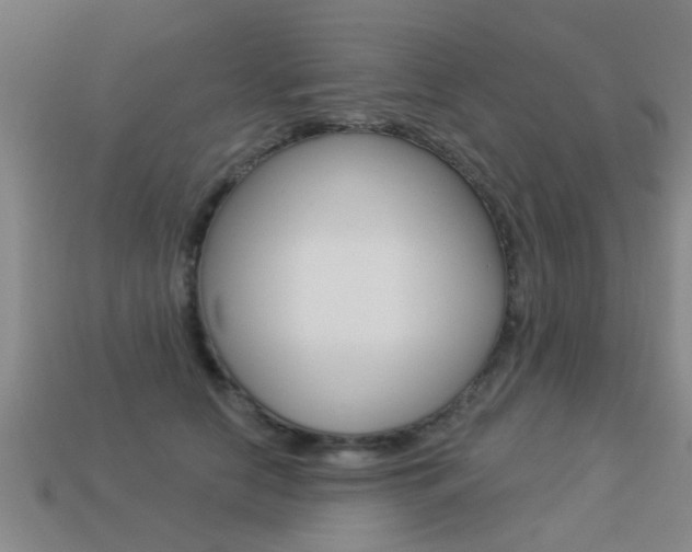 X0000113340658200909151007