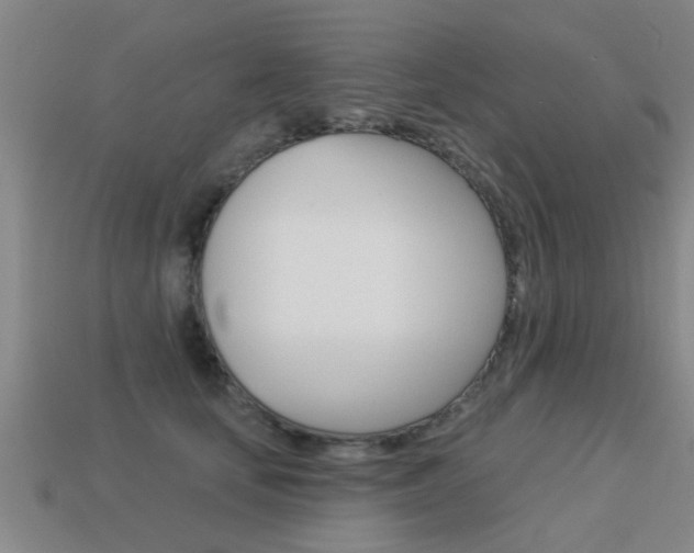 X0000113340659200909151007
