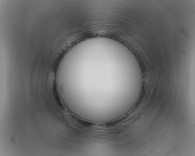 X0000113340660200909151007