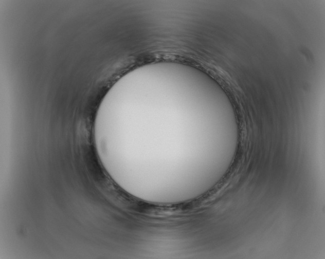 X0000113340661200909151007
