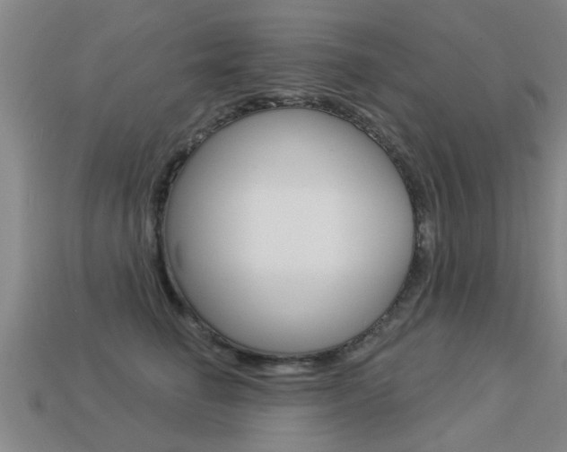 X0000113340662200909151007