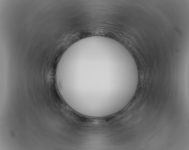 X0000113340663200909151007