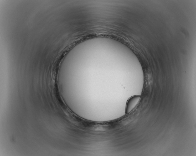 X0000113340664200909151007