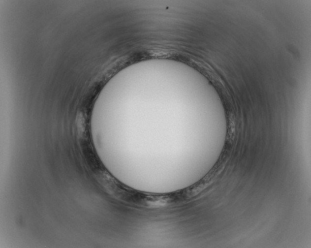 X0000113340667200909151007