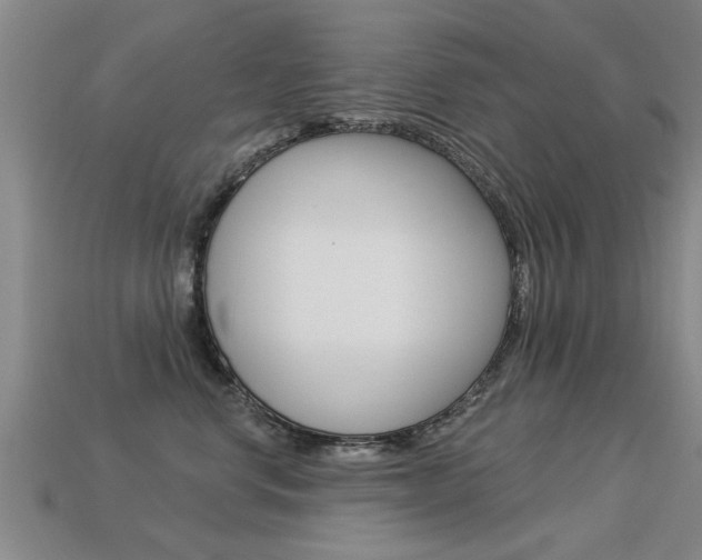 X0000113340668200909151007