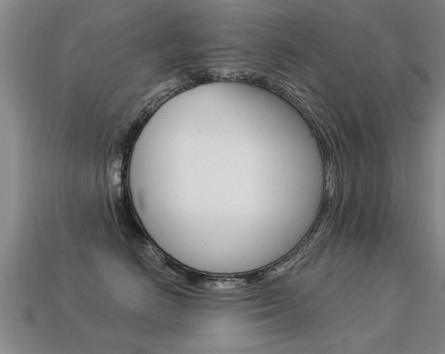X0000113340670200909151007