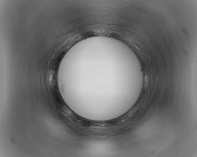 X0000113340671200909151007
