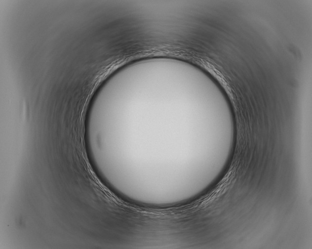 X0000113340673200909151006