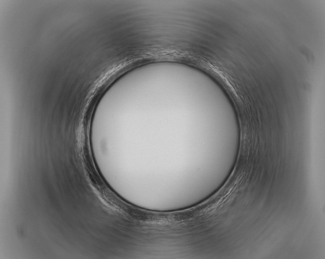 X0000113340674200909151006