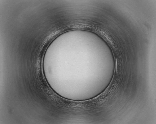 X0000113340675200909151006