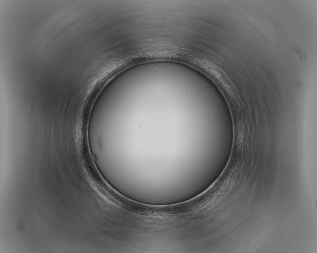 X0000113340677200909151006