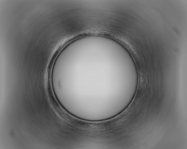 X0000113340678200909151006