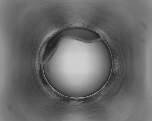X0000113340680200909151006