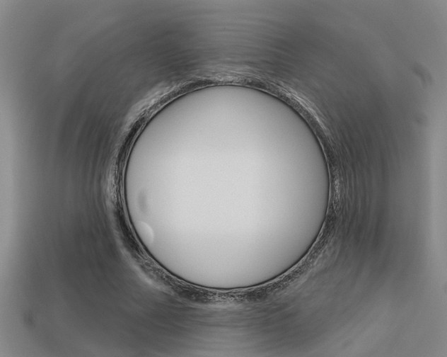 X0000113340682200909151006