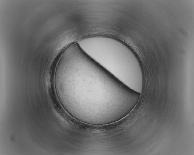 X0000113340683200909151006