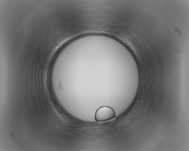 X0000113340684200909151006