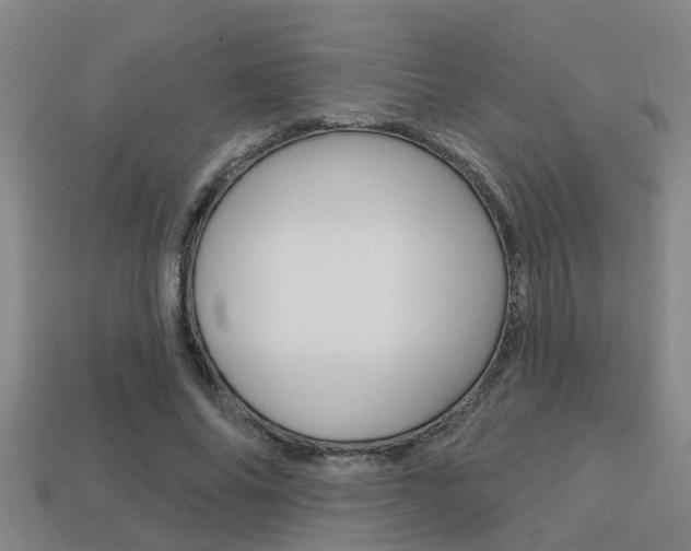 X0000113340686200909151006