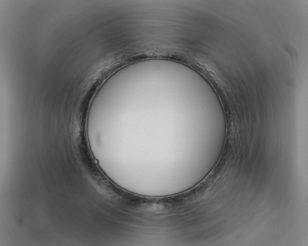 X0000113340687200909151006