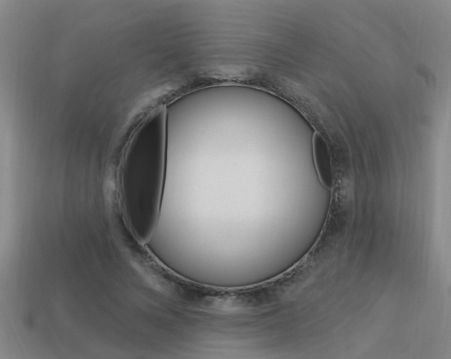 X0000113340688200909151006