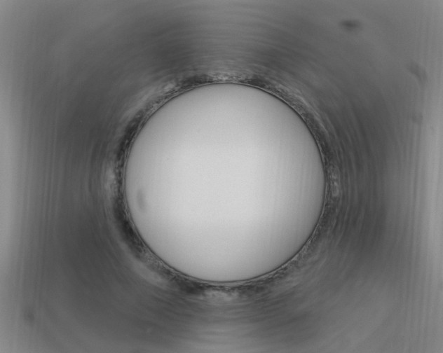 X0000113340690200909151006