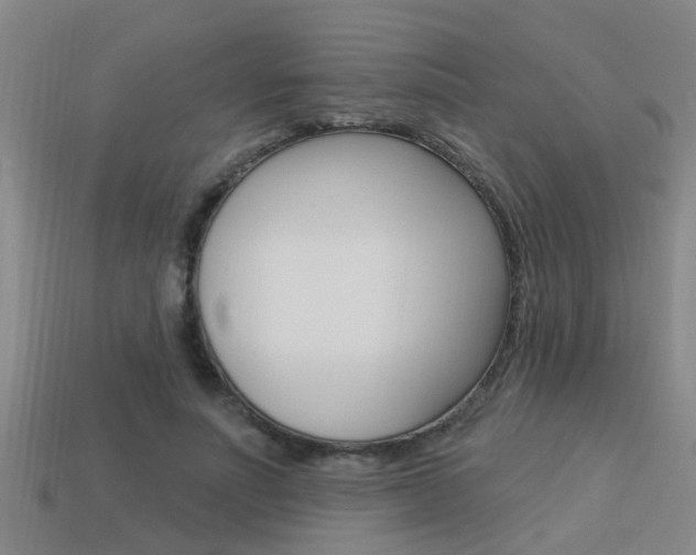 X0000113340691200909151006