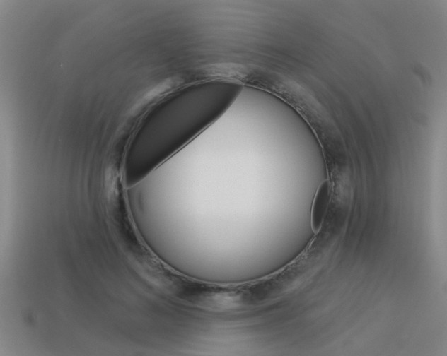 X0000113340692200909151006