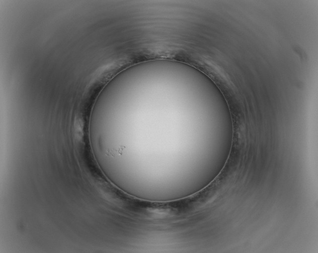 X0000113340693200909151006