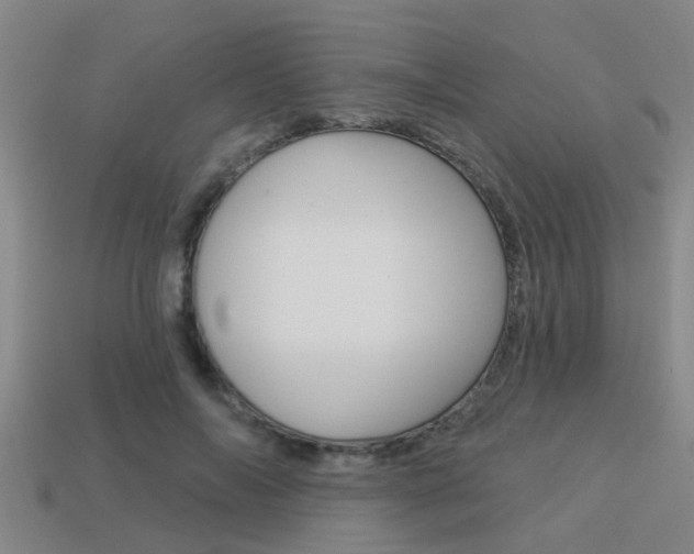 X0000113340694200909151006