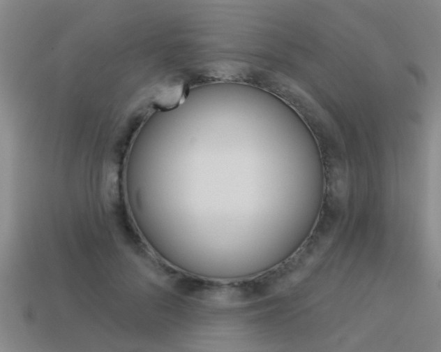 X0000113340696200909151006