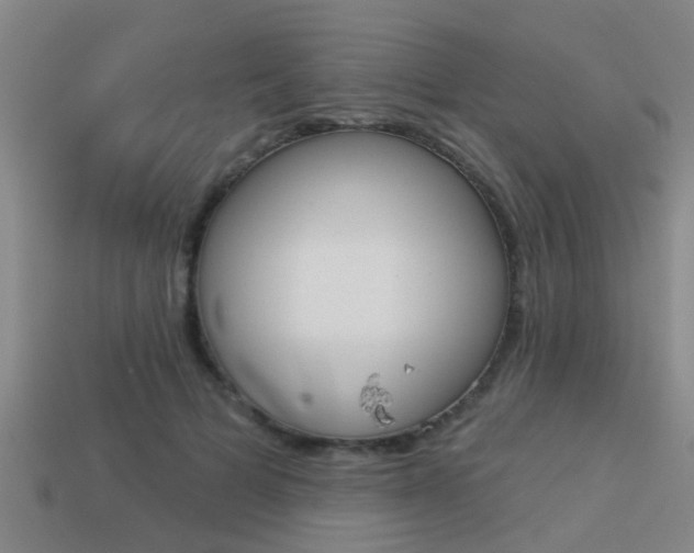 X0000113340697200909151006