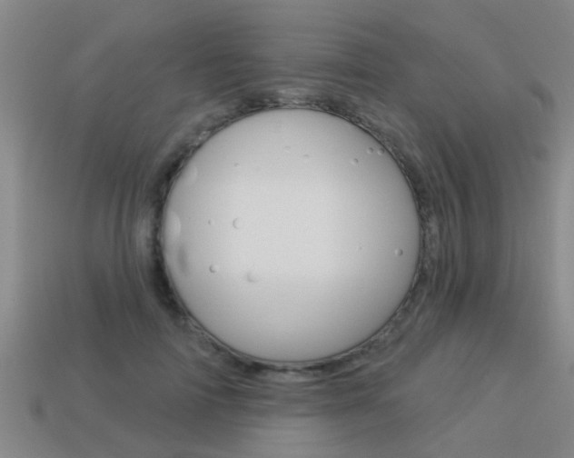 X0000113340698200909151006