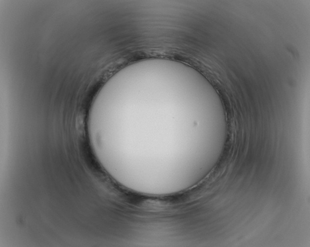 X0000113340699200909151006