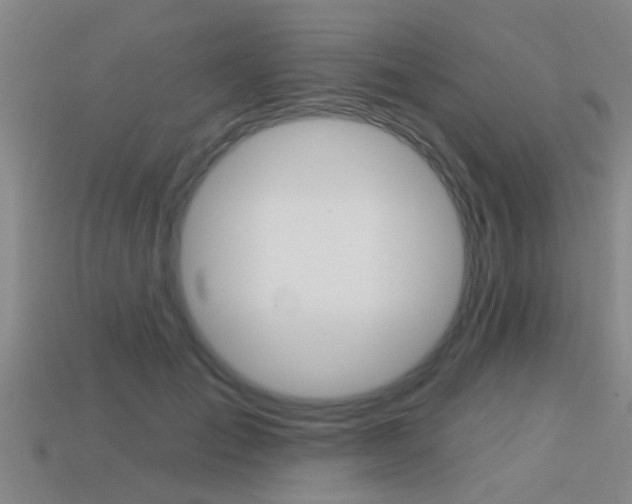 X0000113340701200909151006