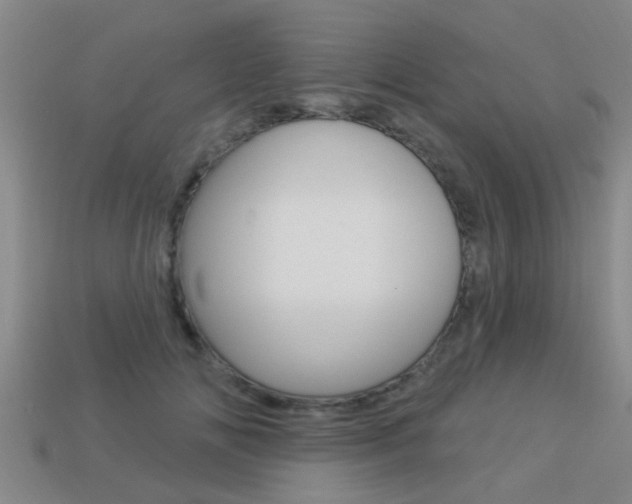X0000113340702200909151006