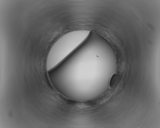 X0000113340704200909151006