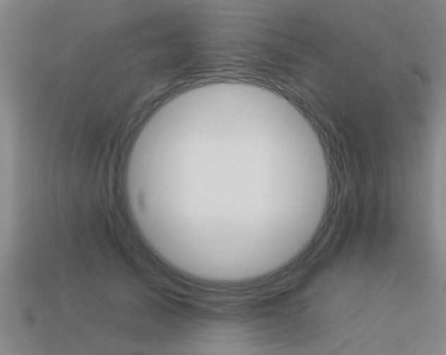 X0000113340705200909151006