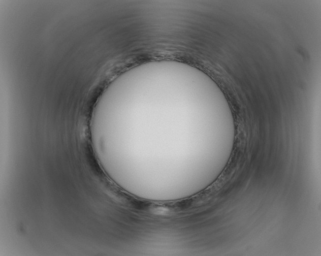 X0000113340706200909151006