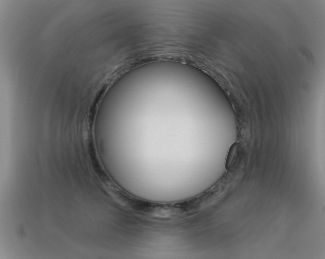 X0000113340708200909151006